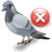 Bird Control